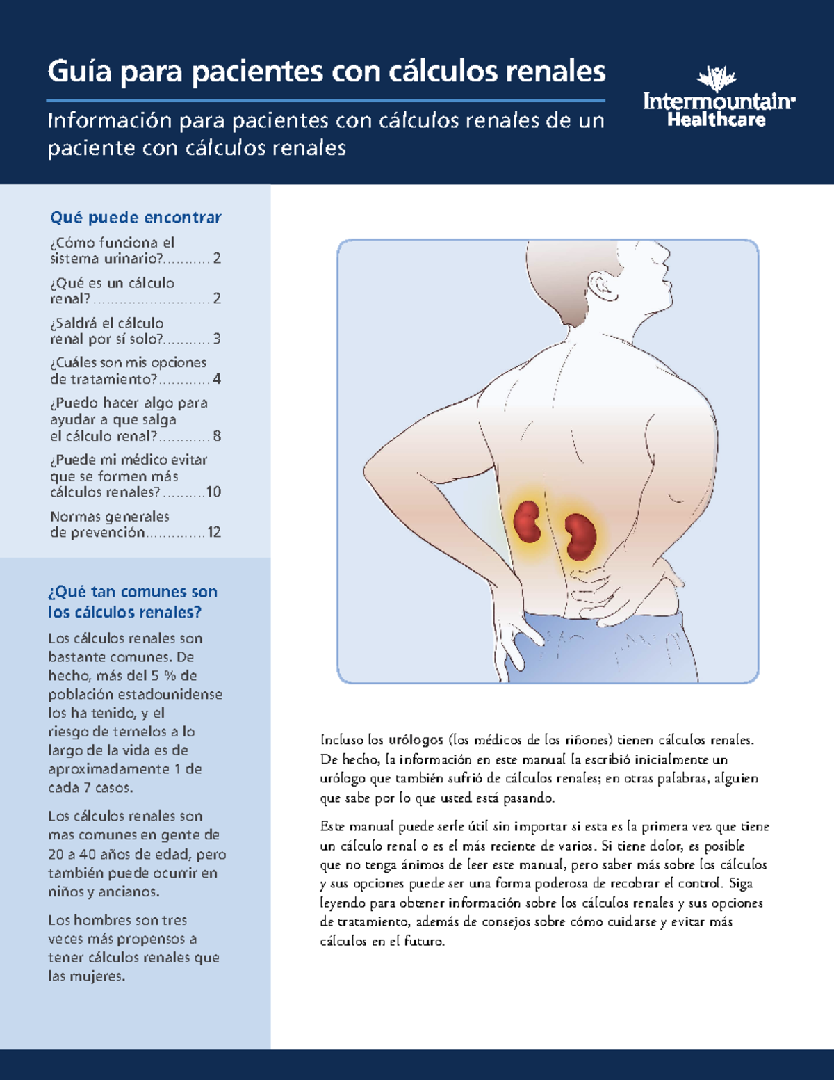 Kidney Stone Owner's Manual Spanish - Guía para pacientes con cálculos ...