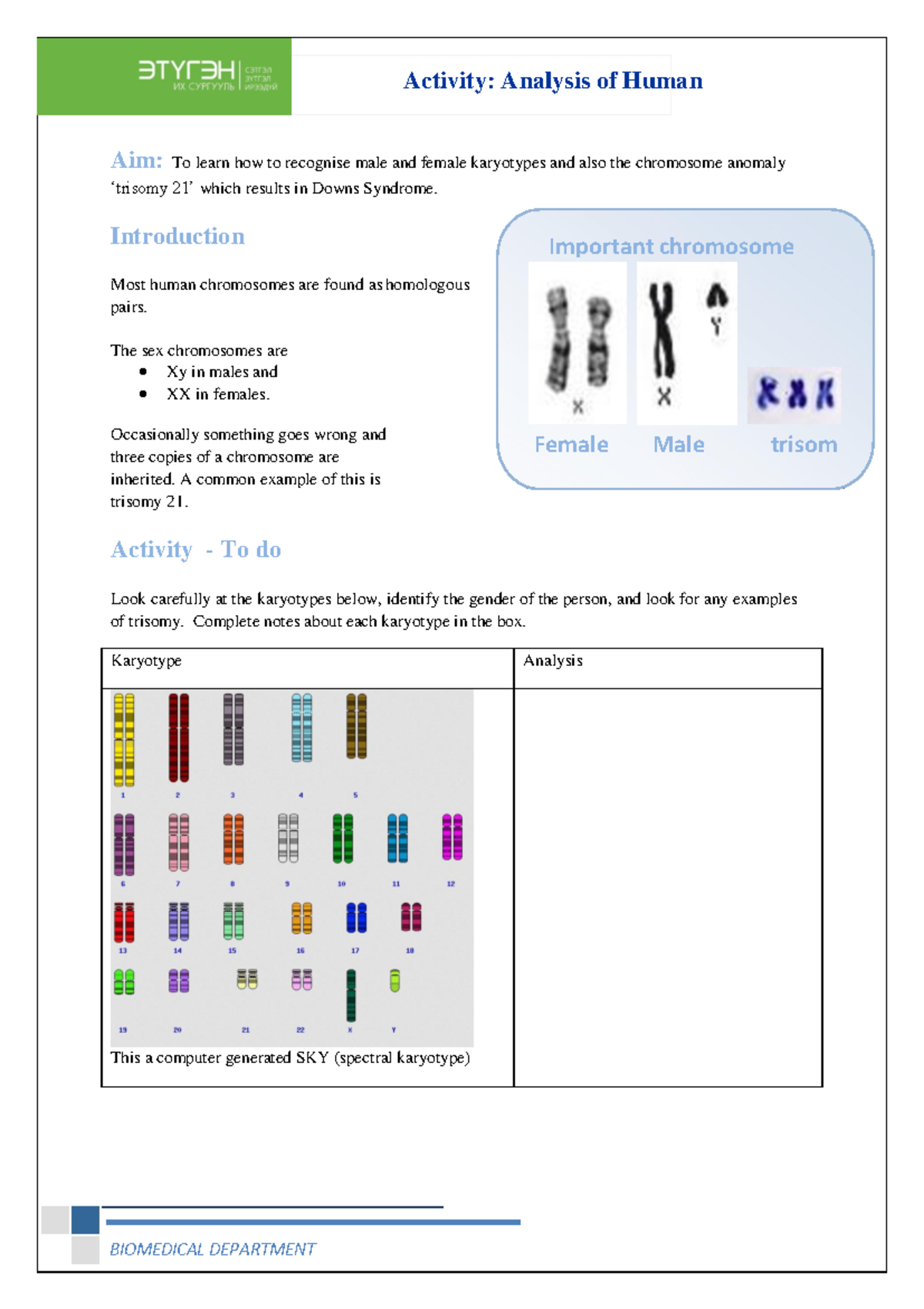 Genetic homework 2 - Activity: Analysis of Human Karyotypes BIOMEDICAL ...