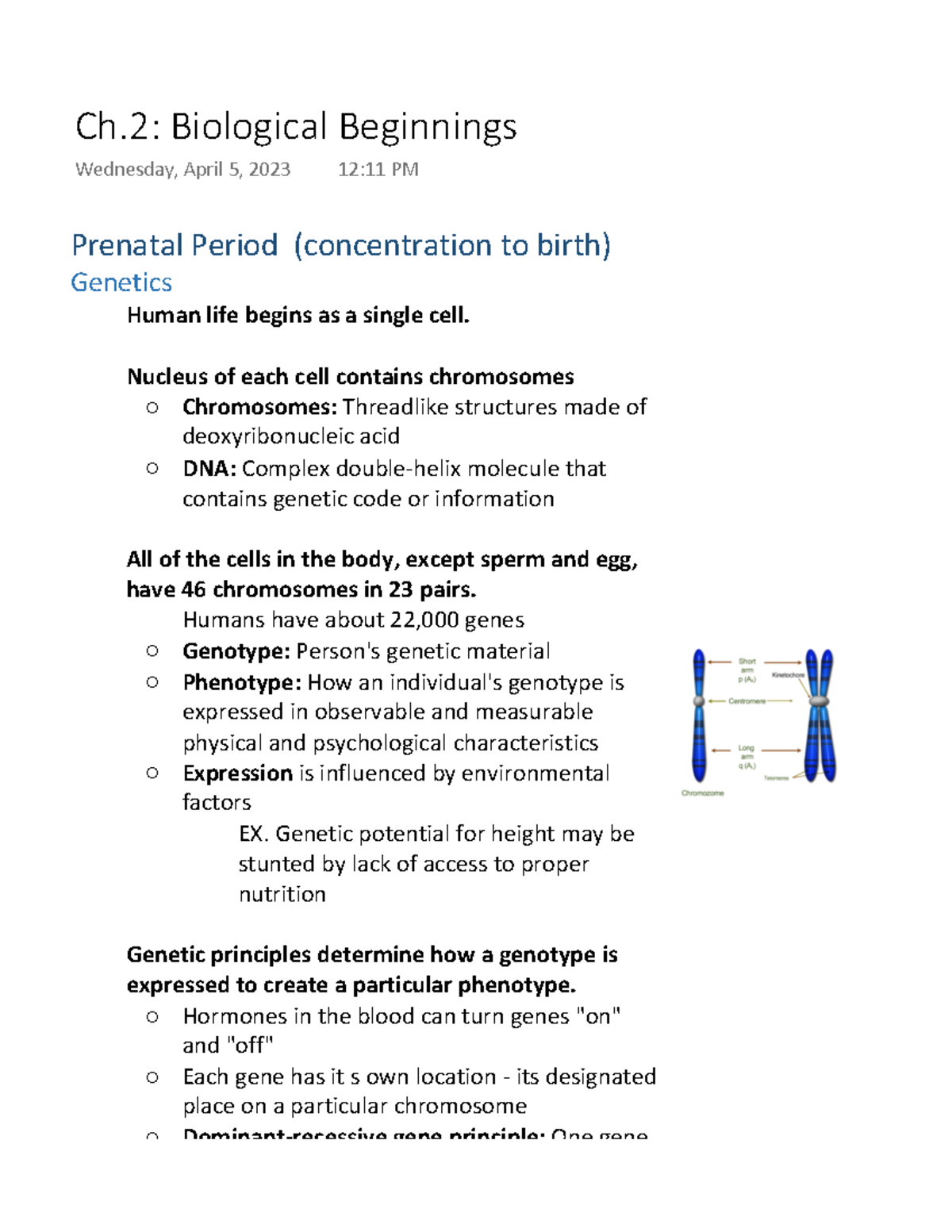 biological beginnings essay