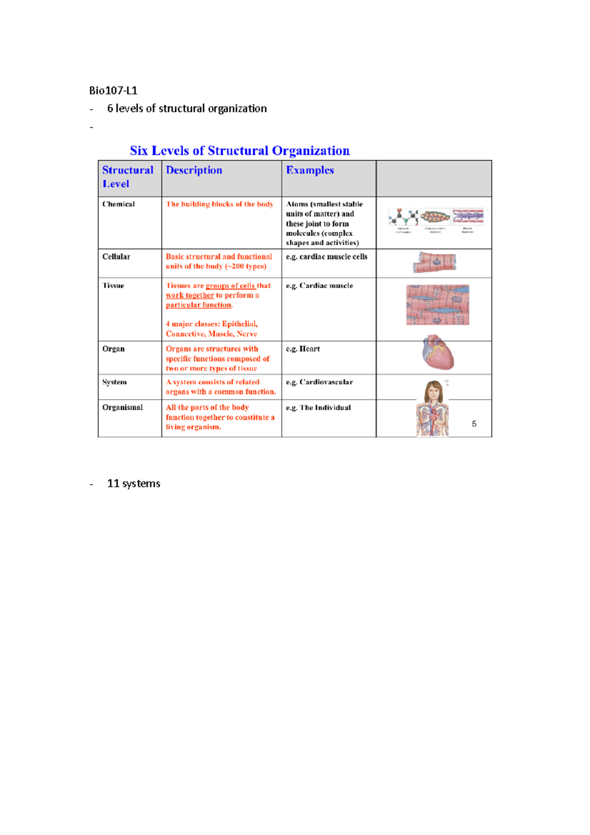 Bio107L1 Bio107L1 lecture notes body system Biology for