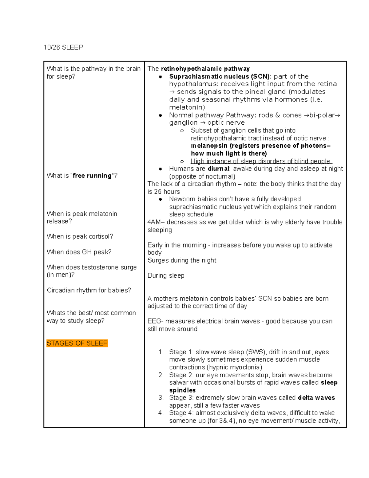 exam-4-cornell-comprehensive-lecture-notes-for-exam-4-content-with-dr