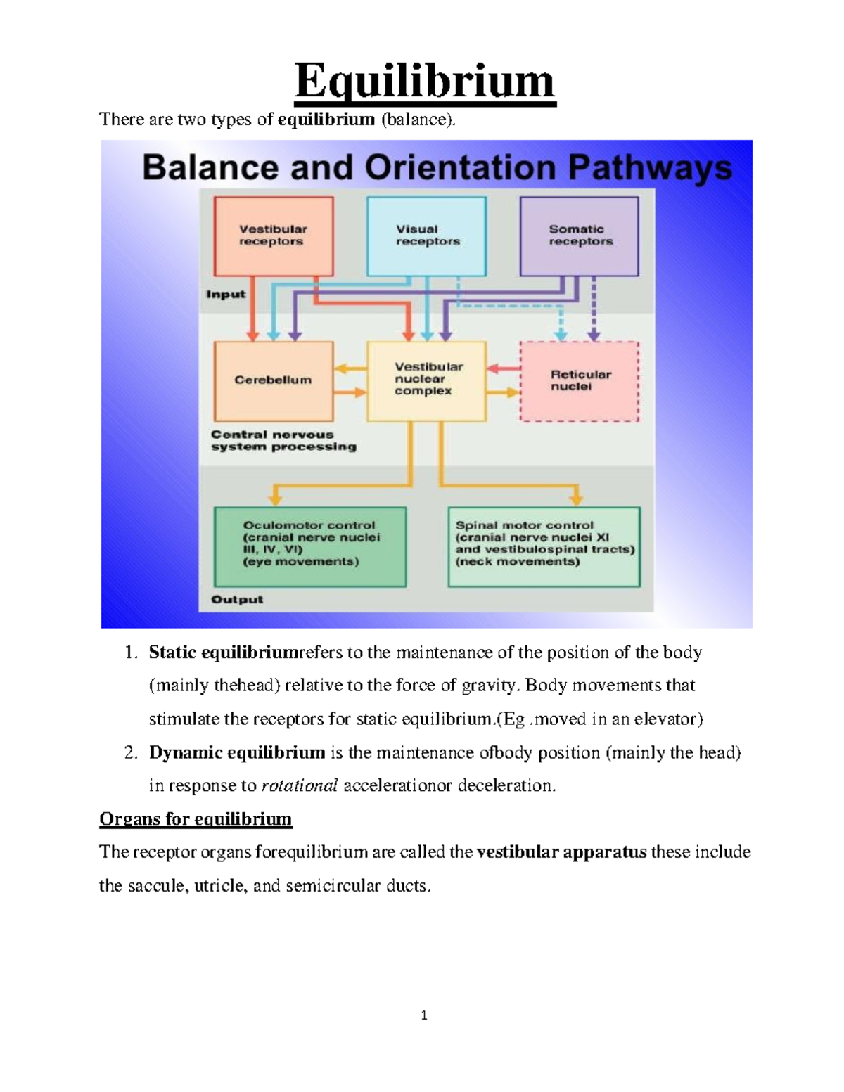 ear-equilibrium-ear-structure-and-function-equilibrium-there-are