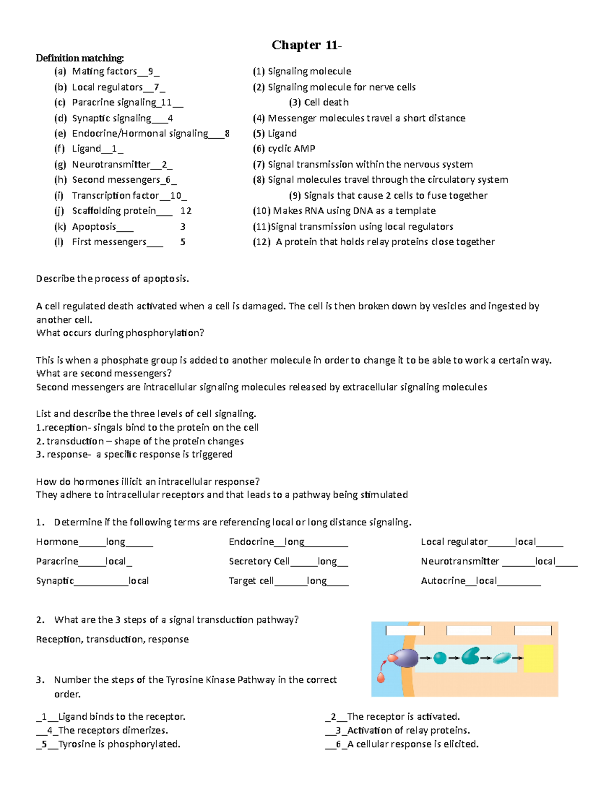 week-8-hw-chapter-11-bio-181-chapter-11-definition-matching-a