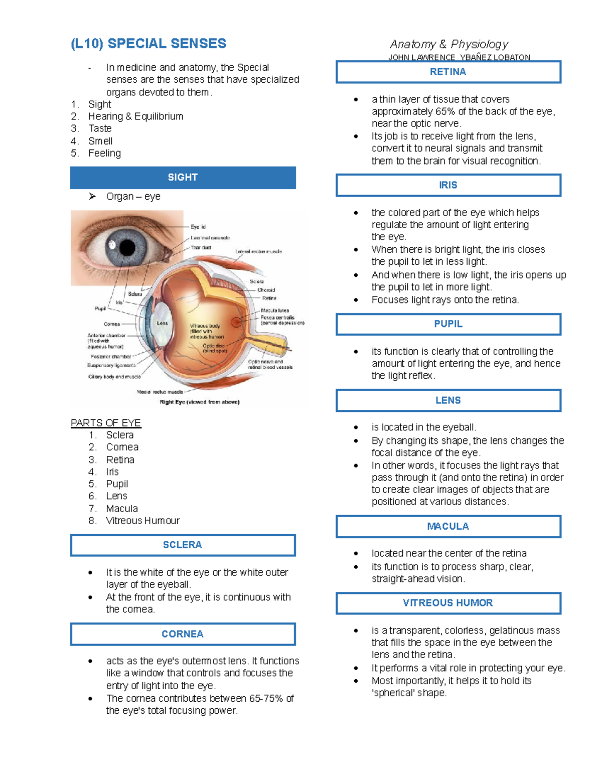 (L10) Special Senses - These notes are from the class lecture. - JOHN ...