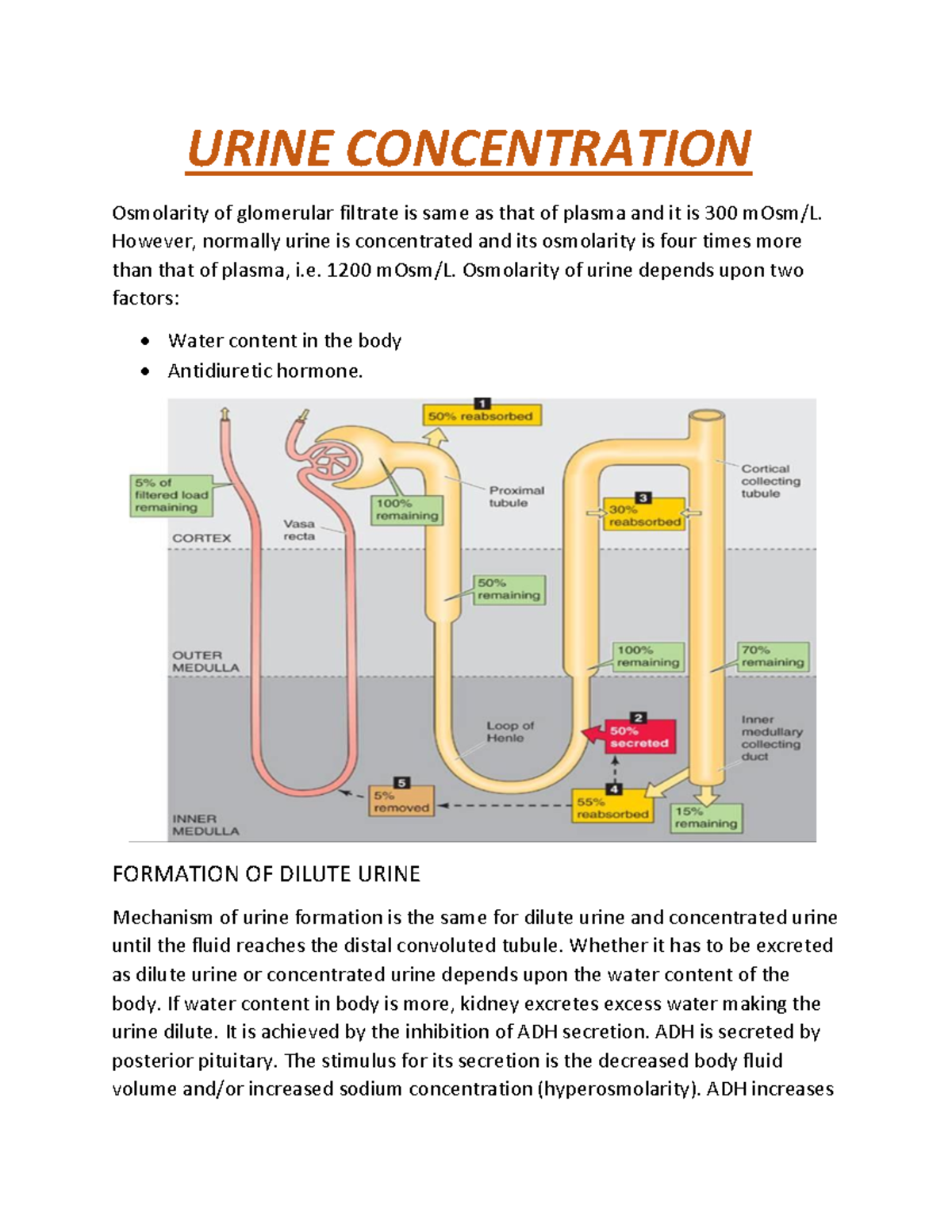 Urine Concentration URINE CONCENTRATION Osmolarity of glomerular