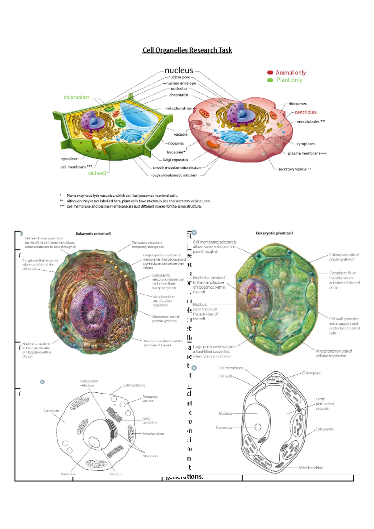 Cell Organelles Research Task and key terms-nutrients - Cell Organelles ...