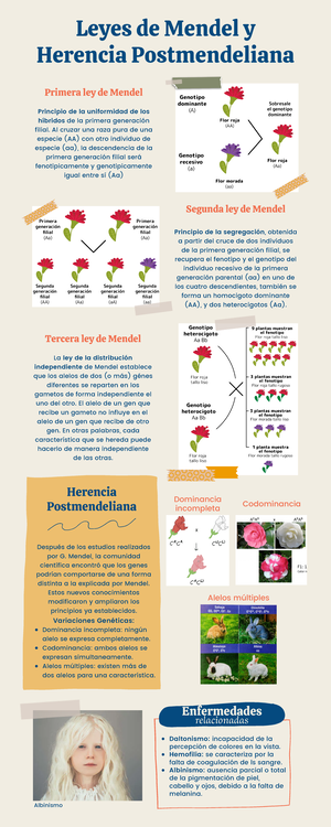 Ramirez Martinez Isai M14S4PI - Modulo 14. Universo natural. Proyecto ...