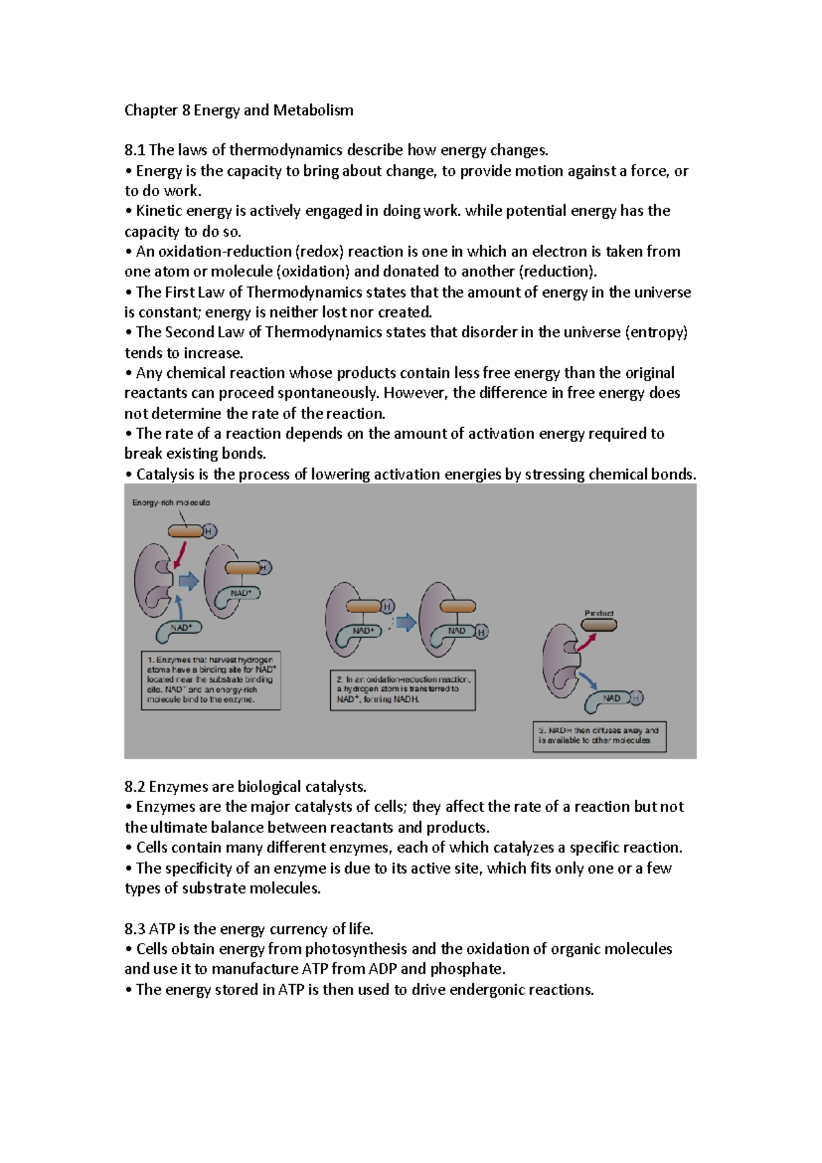 BIOL 10 Summary Ch8 - Chapter 8 Energy and Metabolism 8 The laws of ...