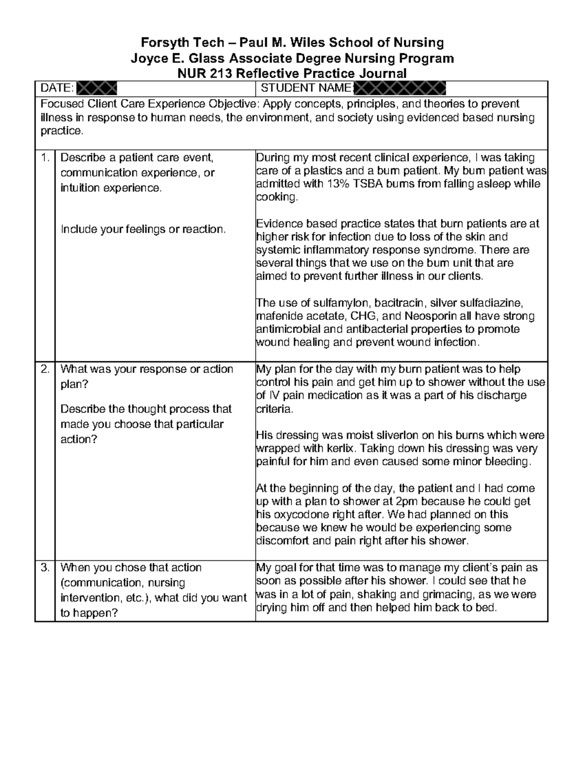 reflective journal nursing clinical example