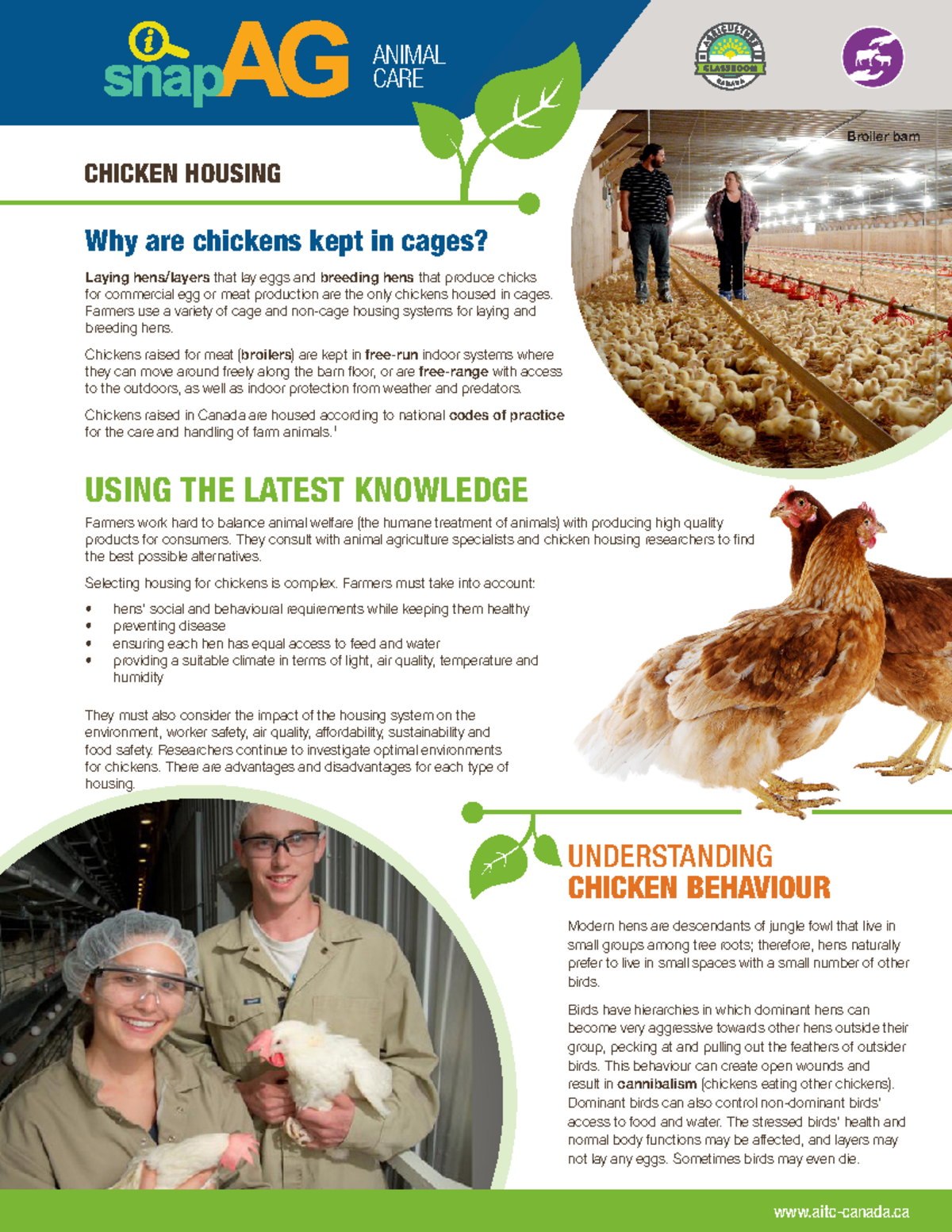 Chicken Housing ENG Advanced Plant Breeding ENG Why are chickens
