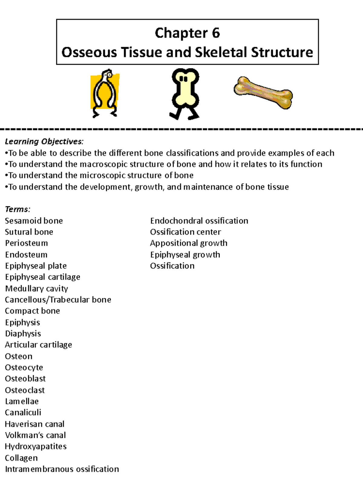 Chapter 6 - Chapter 6 Osseous Tissue And Skeletal Structure Learning ...