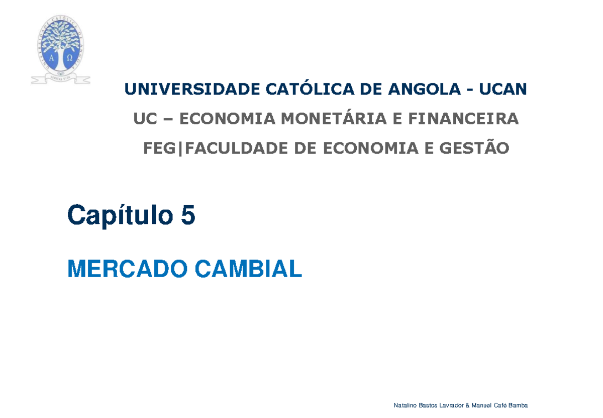 Cap 5 Mercado Cambial Cap tulo 5 MERCADO CAMBIAL UNIVERSIDADE CAT 