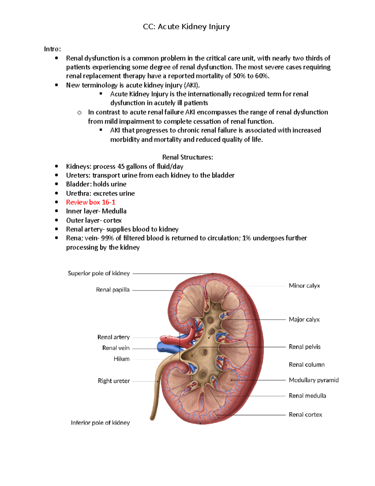 CC renal - critical care nursing, acute kidney injury - CC: Acute ...