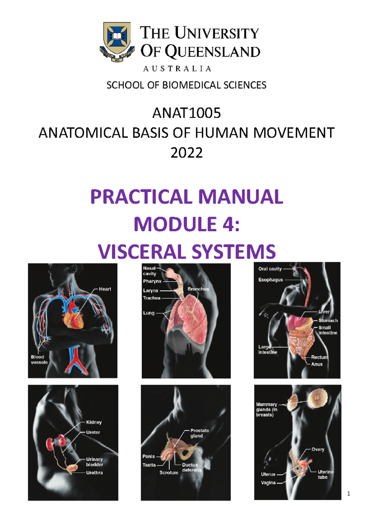 ANAT1005 Pracs Module 4 Visceral - SCHOOL OF BIOMEDICAL SCIENCES ANAT ...