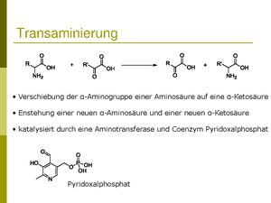 Grundlagen Der Organischen Chemie - Vorlesung 3 - Bindungsarten ...