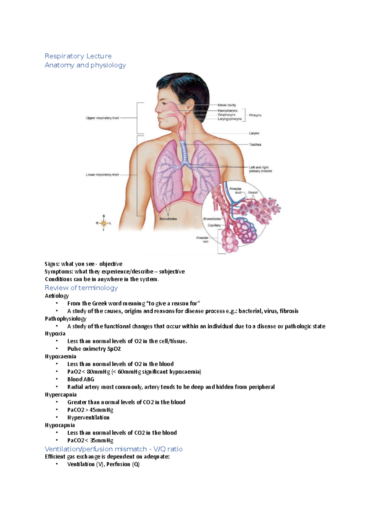 Respiratory Lecture - Respiratory Lecture Anatomy and physiology Signs ...