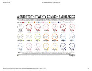 Organismal Diversity Notes - Exam 1 - Diversity Of Life Approximately 2 ...