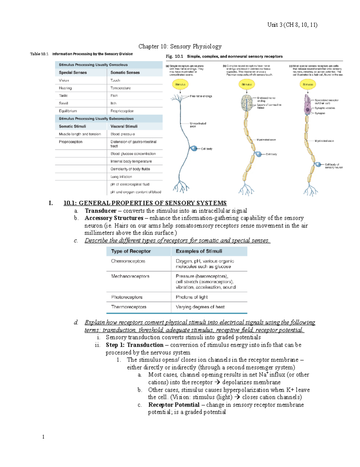 CH 10 - Sensory Physiology - Chapter 10: Sensory Physiology I. 10 ...