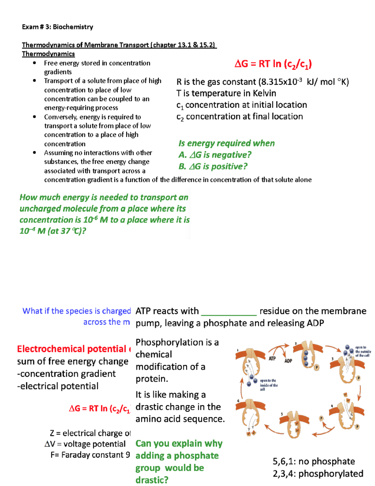Exam #3 biochem - summary - Exam # 3: Biochemistry Thermodynamics of ...