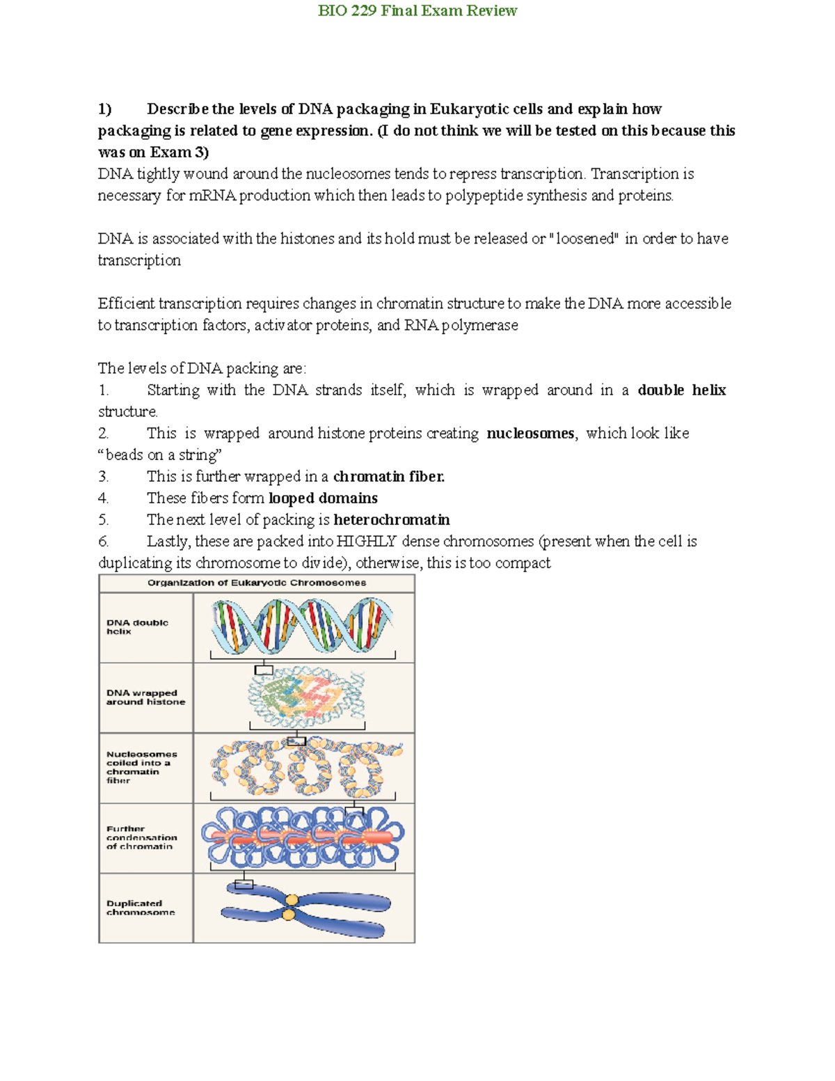 Bio 229 Final EXAM Review - Describe the levels of DNA packaging in ...
