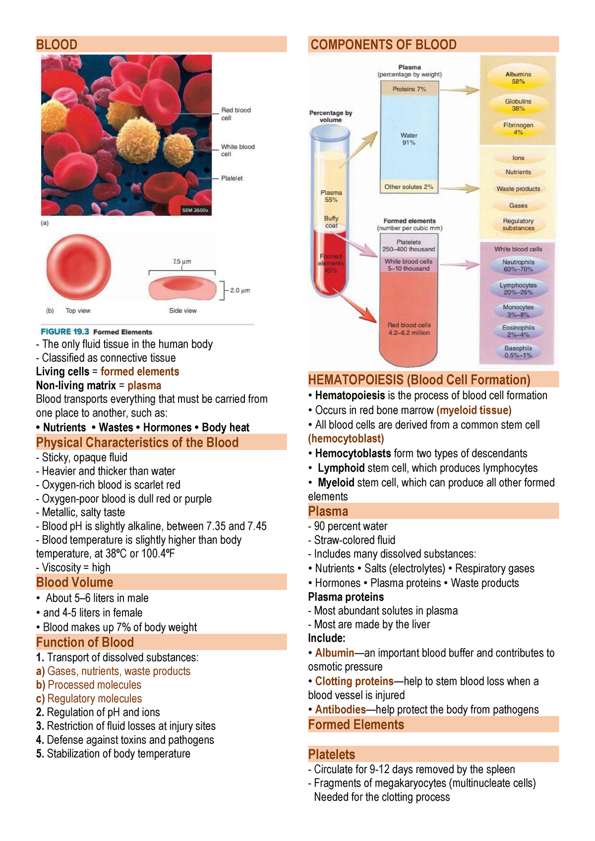 Blood Reviewer - Self Made Transes All Of The Info Are From Our 