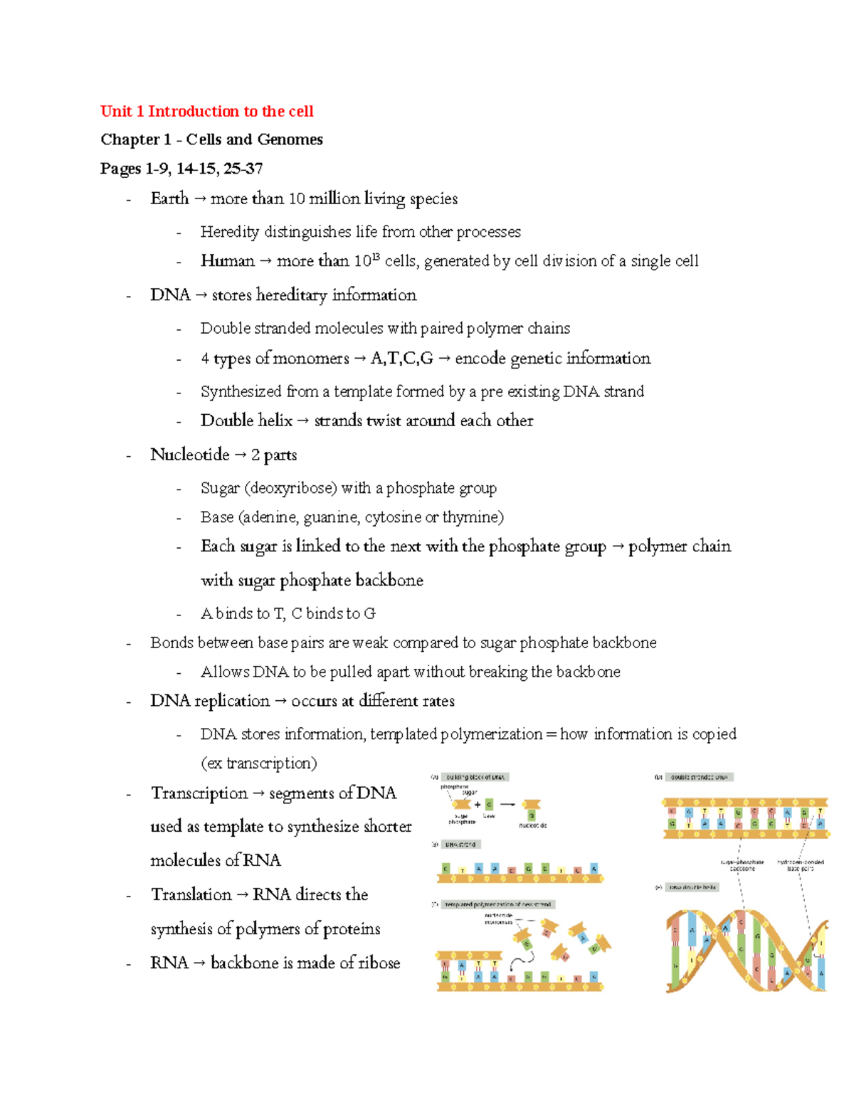 Book notes Mammalian Cell Biology - Unit 1 Introduction to the cell ...