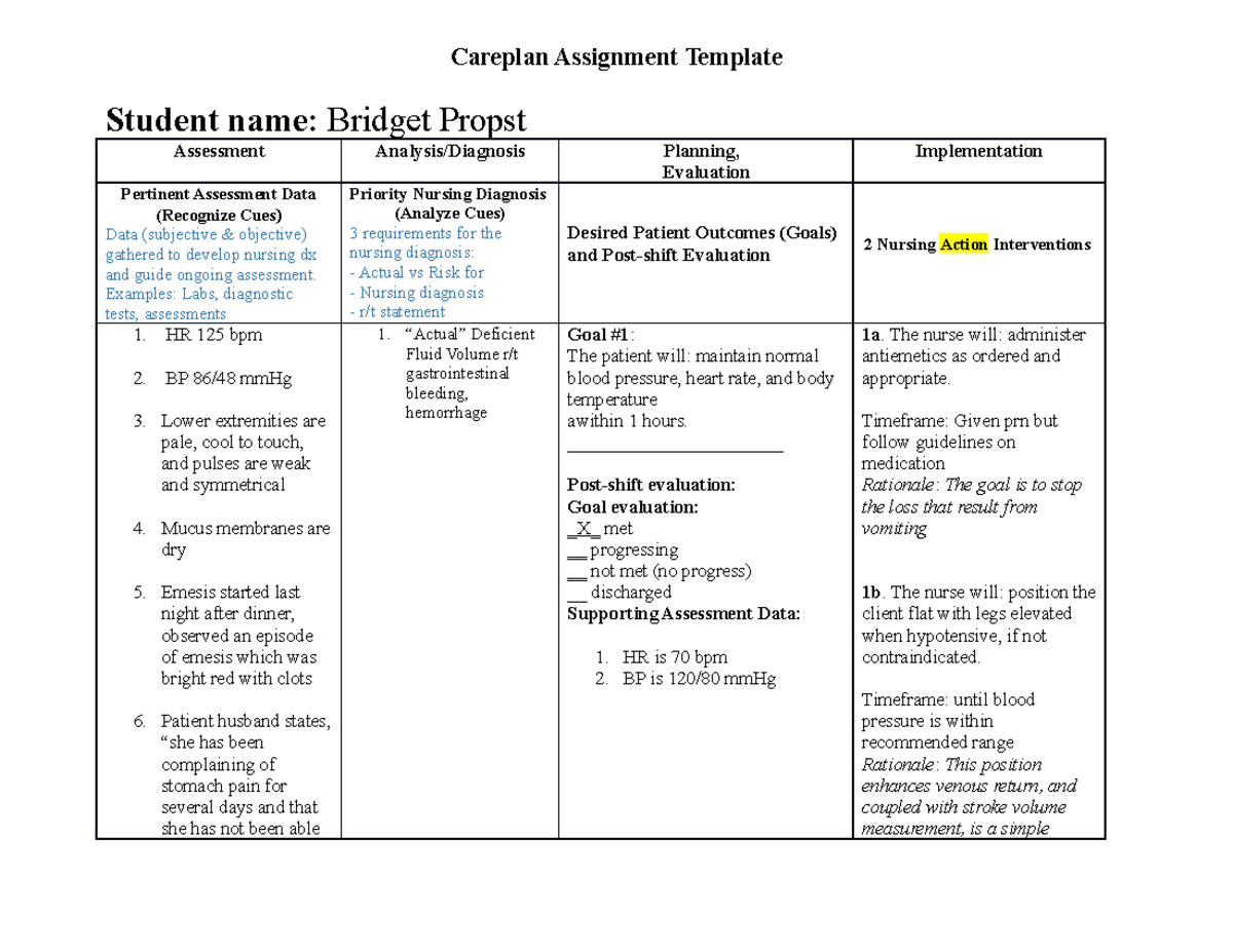 Careplan Assignment - Grade: A+ - Careplan Assignment Template Student ...