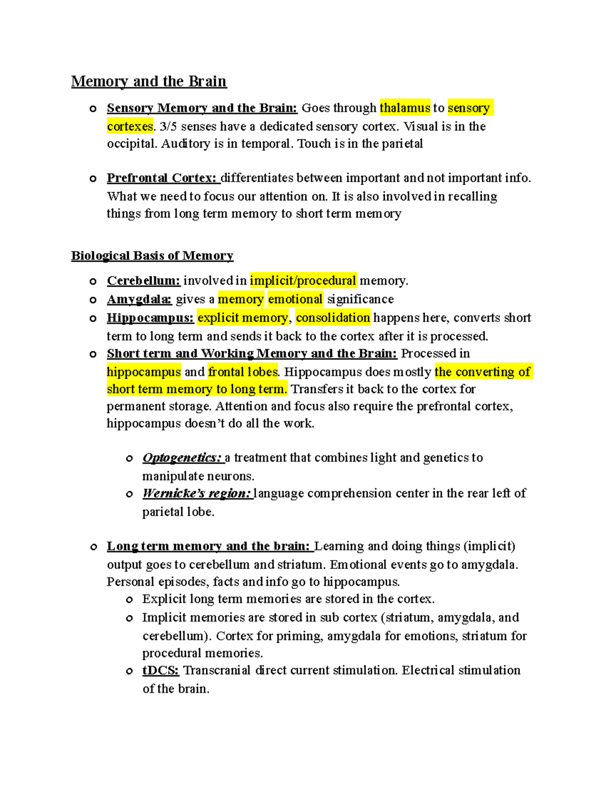 2019-intro To Psychology(psy101)-lecture Notes Memory And The Brain ...