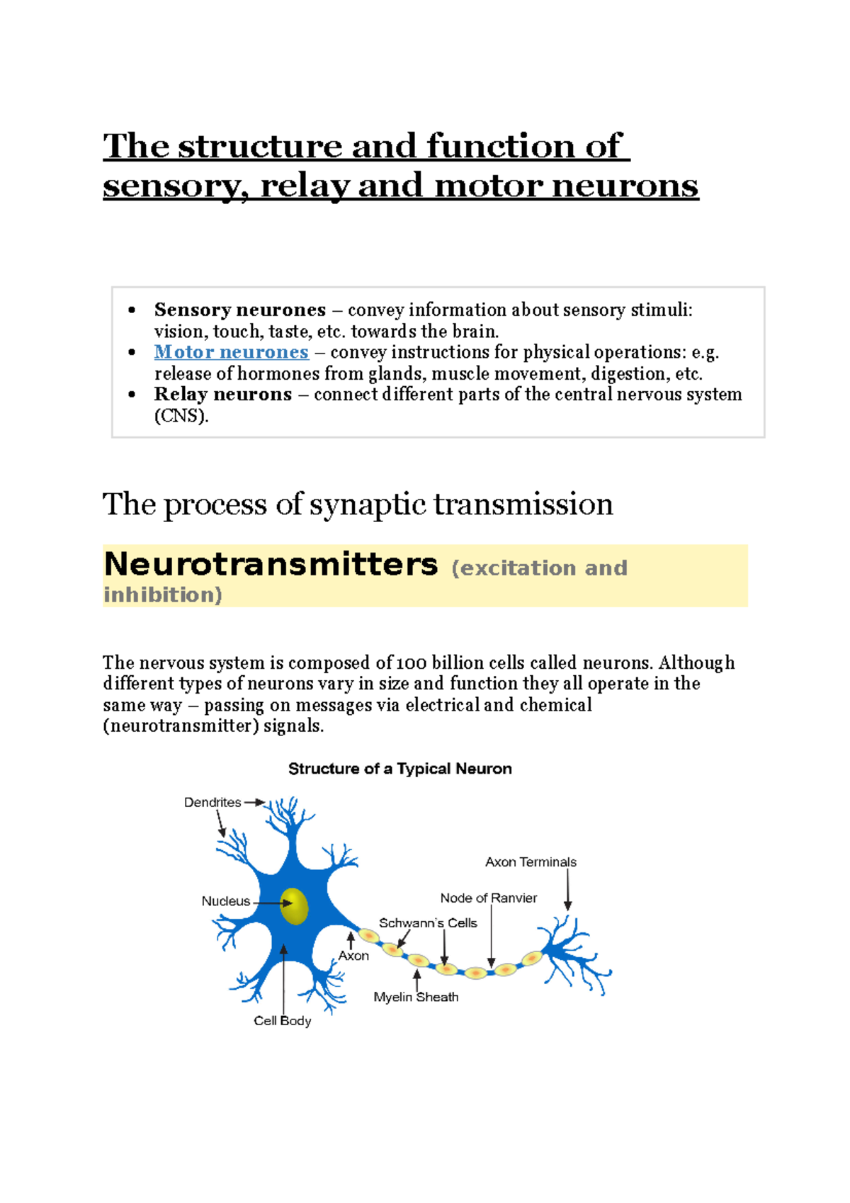 Neurons Notes The Structure And Function Of Sensory Relay And Motor 