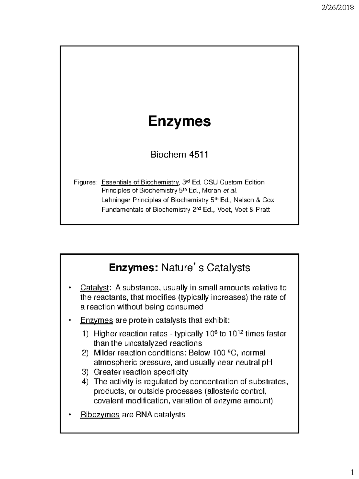 Chapter 6 Enzymes - Lecture notes made by Dr. Shimko of OSU - 2/26/2018 ...