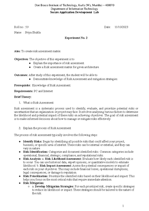 SAD Exp 2 Risk Assesment