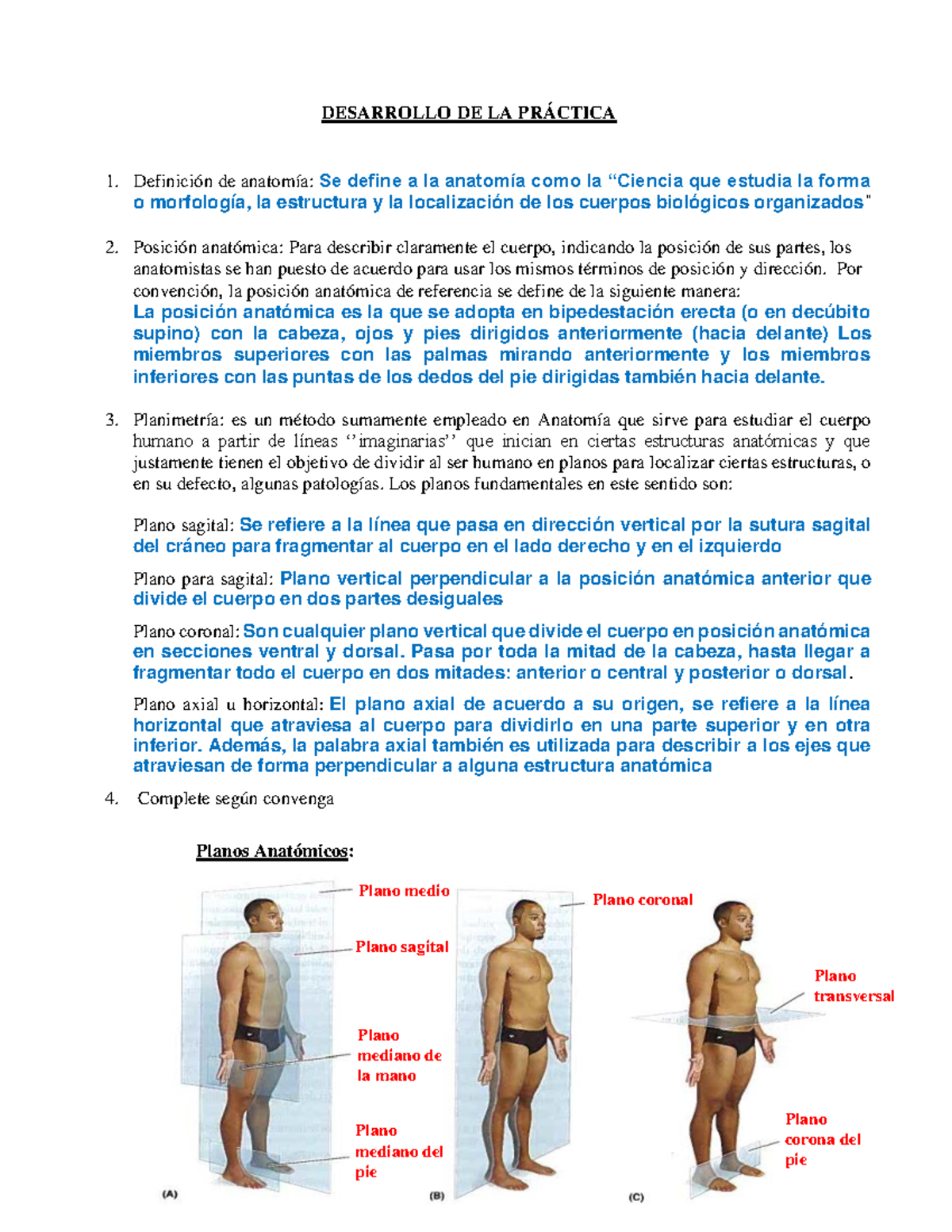 Anatomia Practica Claritza DEL Pilar ABAD Merino GUIA 1 - DESARROLLO DE ...