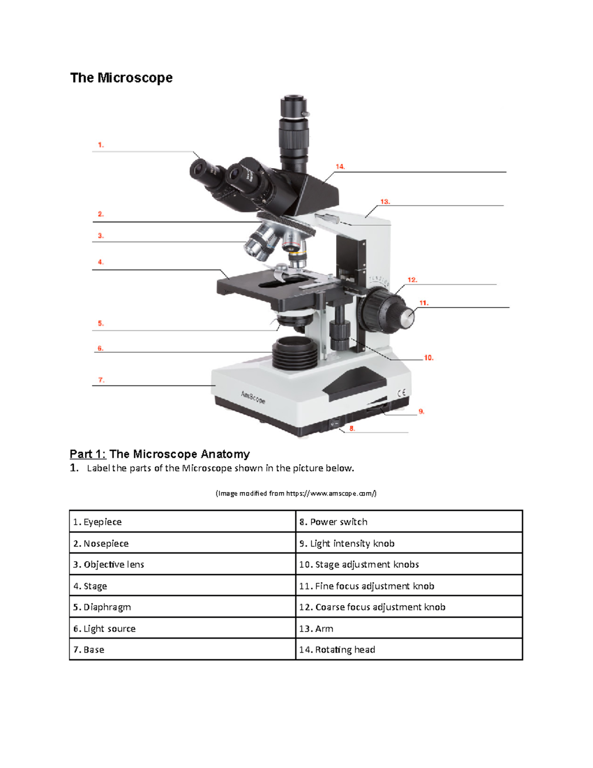 Activtiy Worksheet Microscope - The Microscope Part 1: The Microscope ...