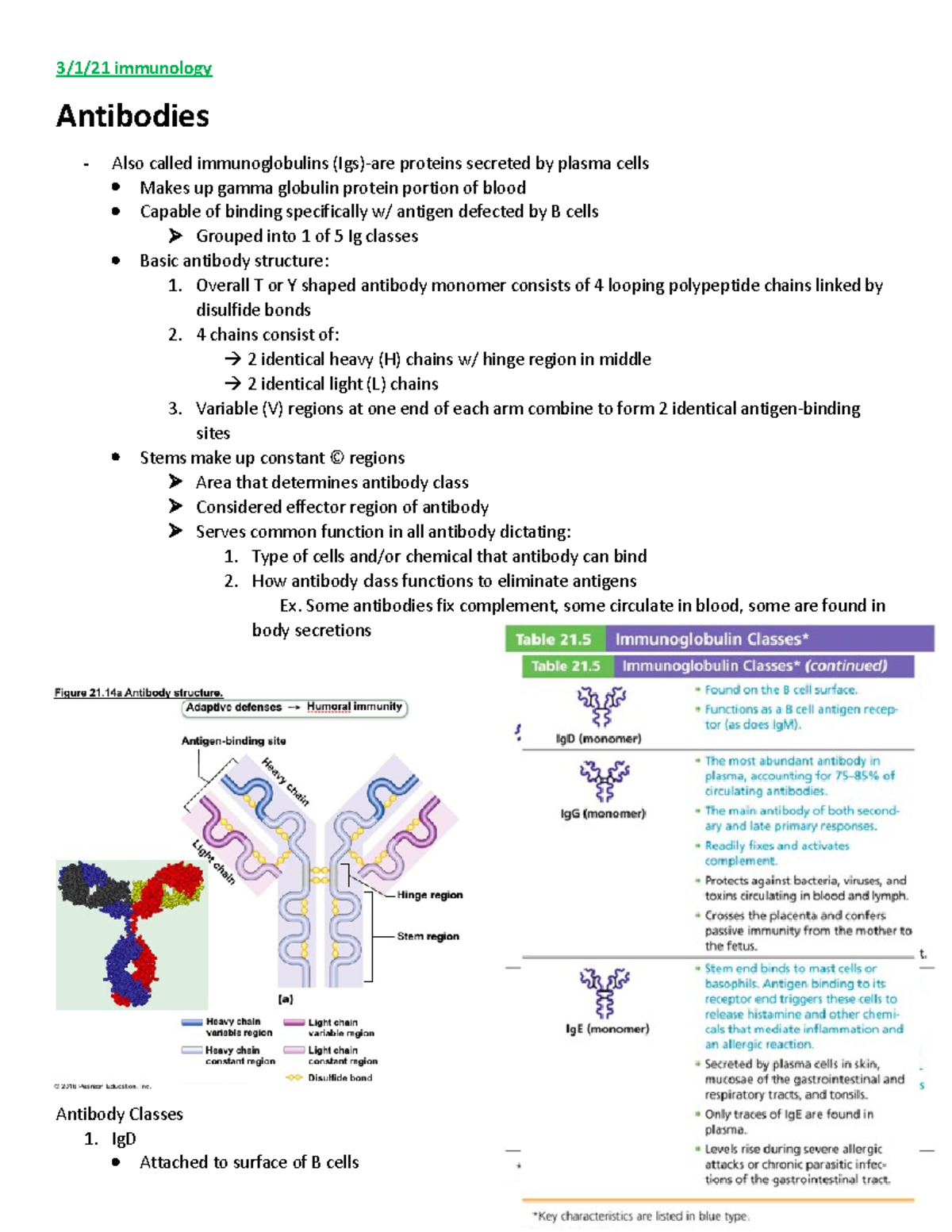 Notes FOR EXAM 3 exam 3 study guide 3/1/21 immunology Antibodies