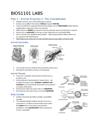 Practical Three -Toad dissection Prac - PRACTICAL 3 ANIMAL STRUCTURE 1 ...