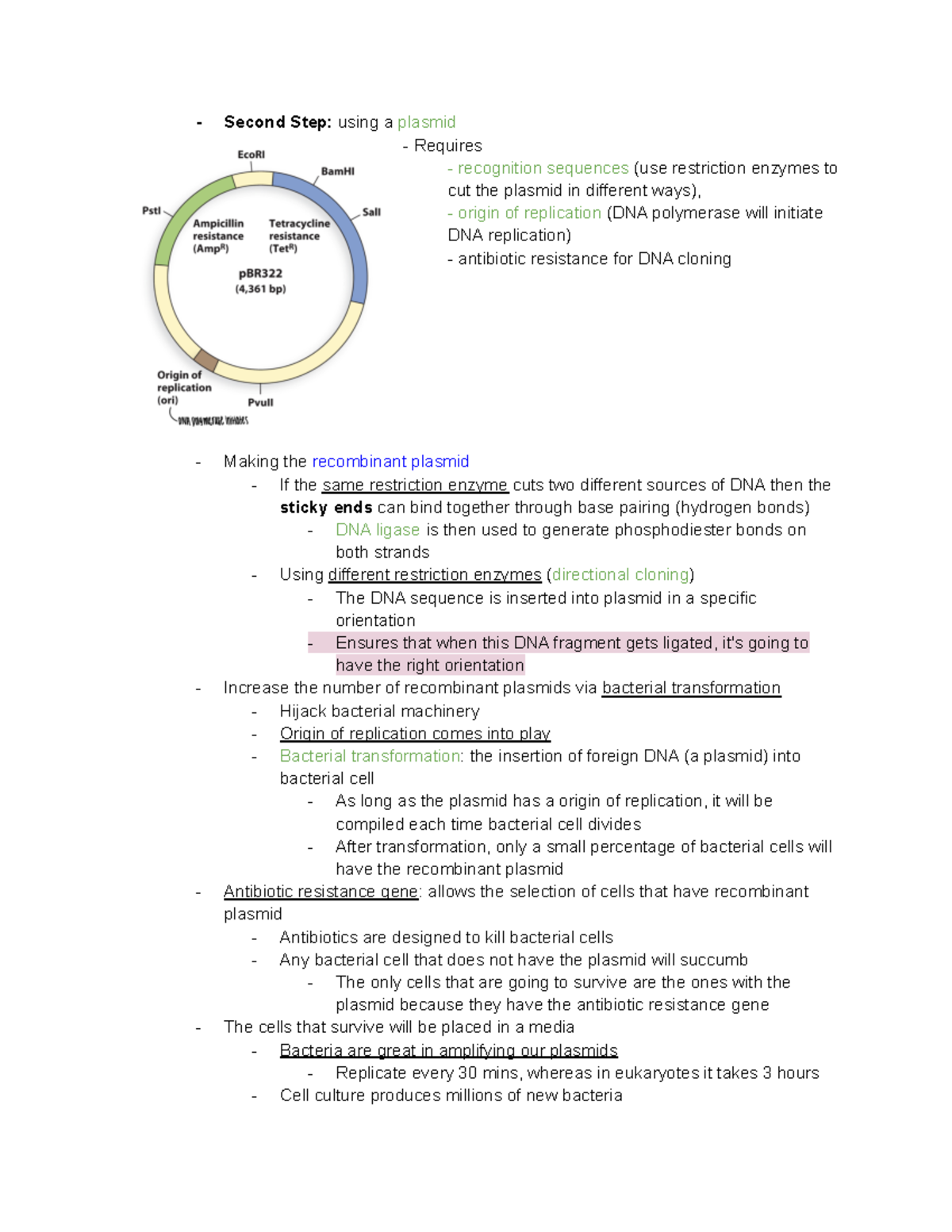 BIO 344 16 plasmid Second Step using a plasmid Requires recognition sequences