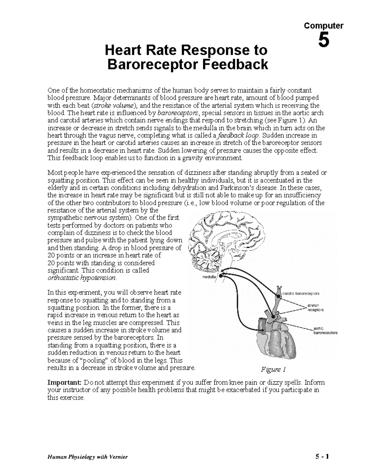 05 Heart Rate Response Human Physiology with Vernier 5 1 5 Heart
