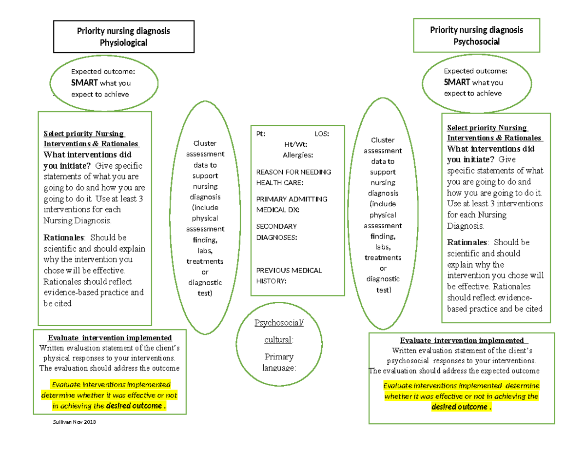 Concept map template new 2018 L1 HOSOCIAL/CUL exp Sullivan Nov 2018