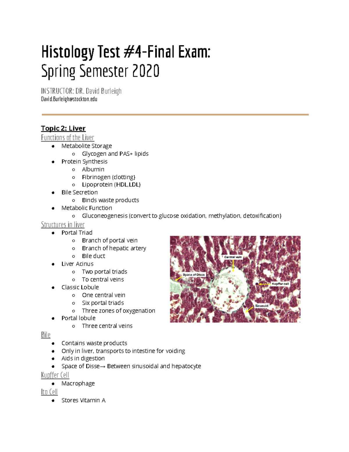 Histology Test #4-Final Exam.2 - Histology Test #4-Final Exam: Spring ...