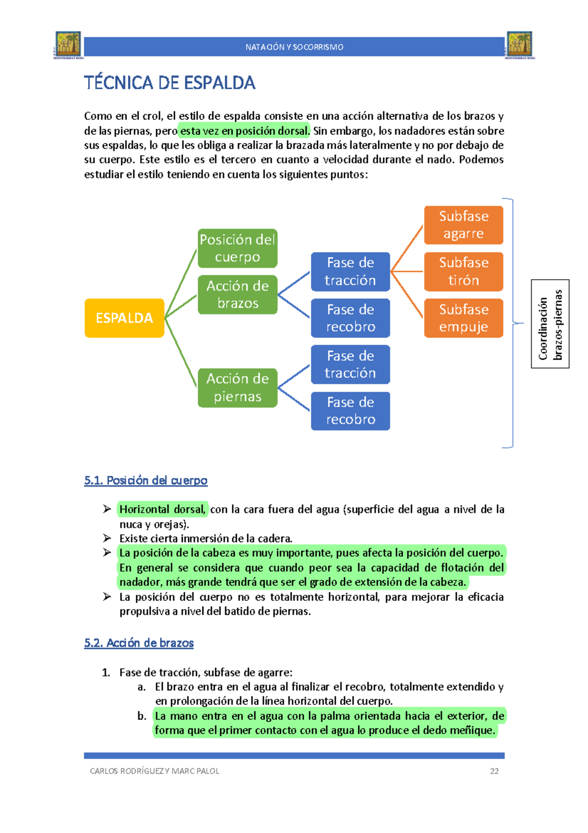 Tecnica espalda - TÉCNICA DE ESPALDA Como en el crol, el estilo de ...