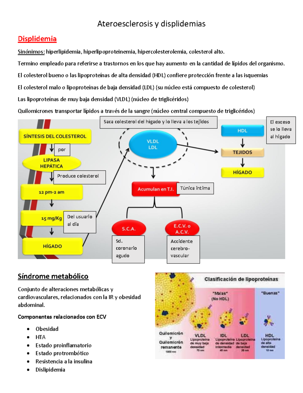 Fisiopatologia De Ateroesclerosis