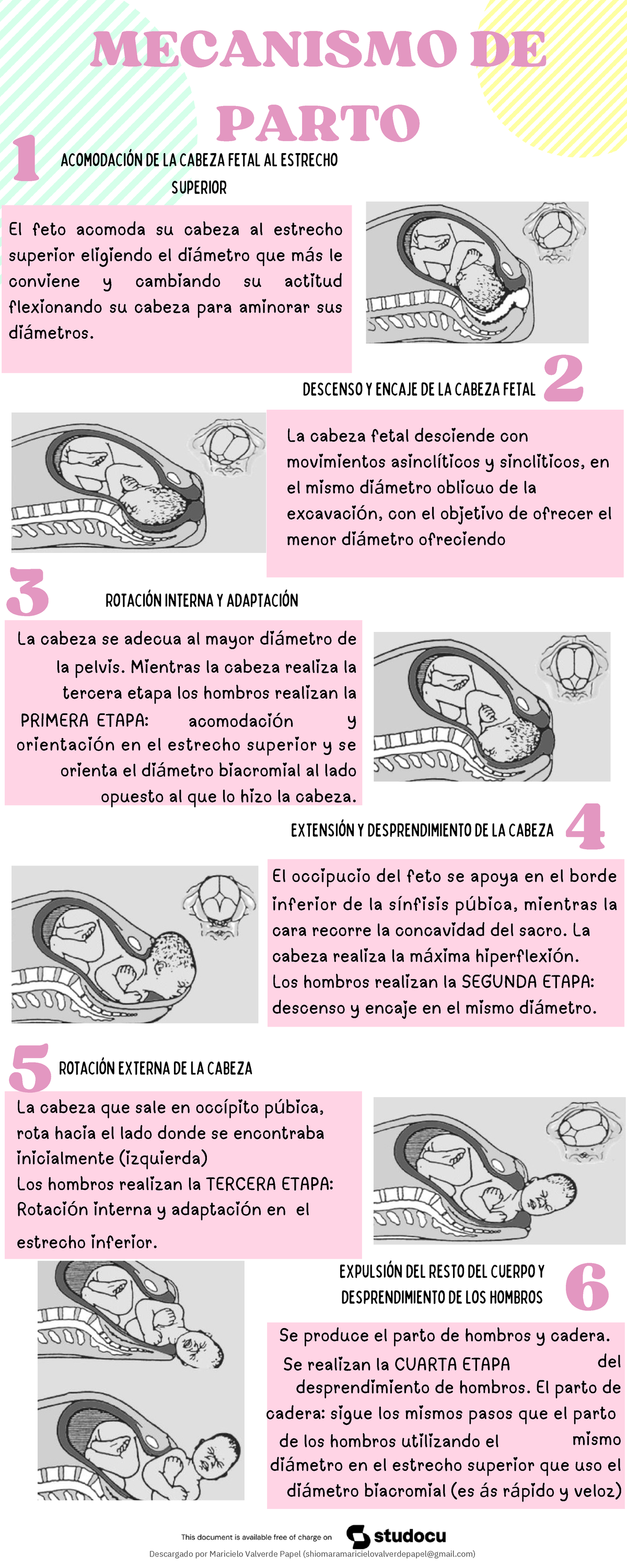 Infografia-mecanismo-de-parto - El feto acomoda su cabeza al estrecho ...