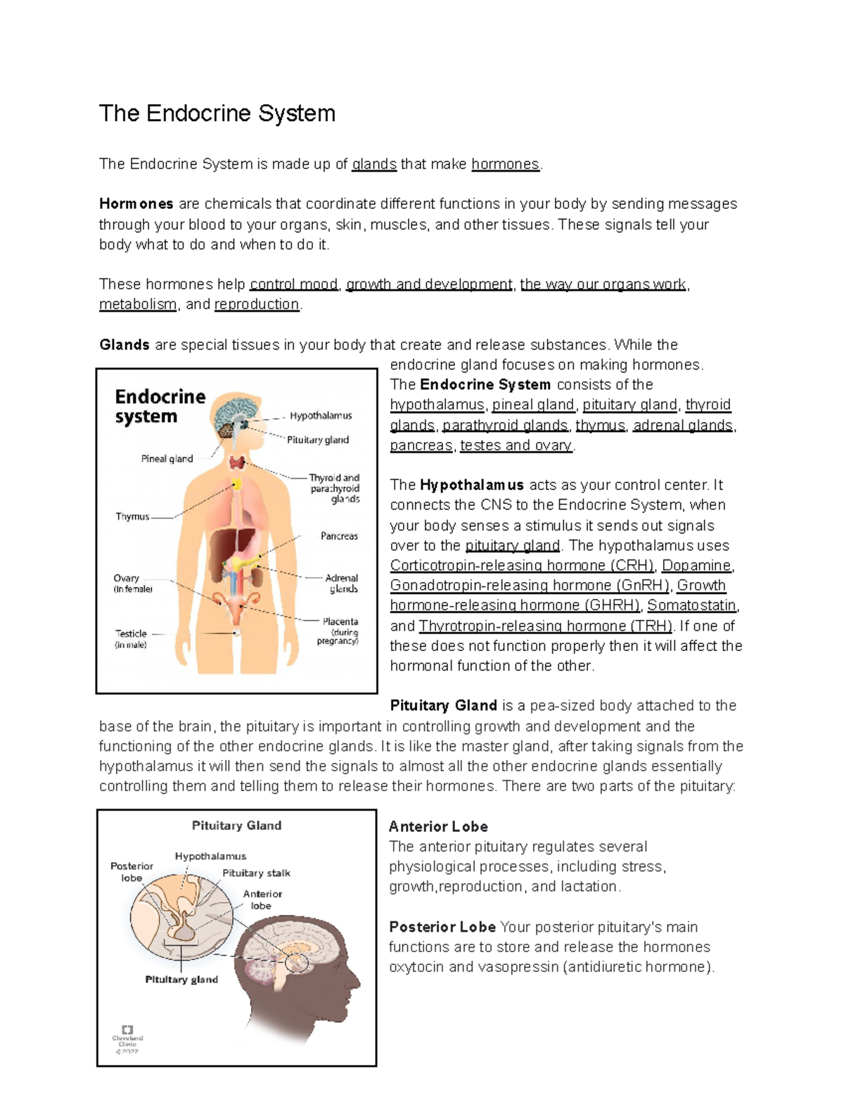 The-Endocrine-System - The Endocrine System The Endocrine System is ...