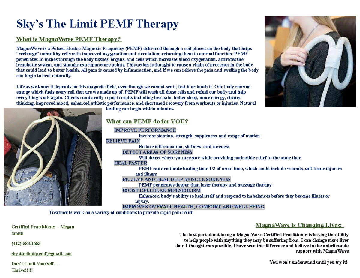 Explaining your business assignment Sky’s The Limit PEMF Therapy What