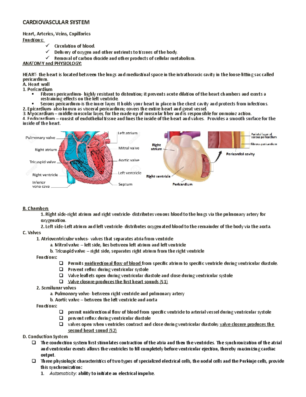 T]ae,1k9gr]o-pjv9] - Review Well - Cardiovascular System Heart 