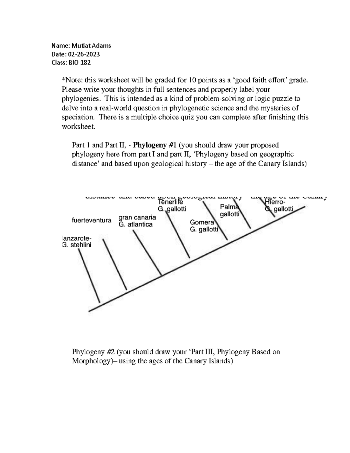 Island Biogeography worksheet1 Name Mutiat Adams Date 0226 Class