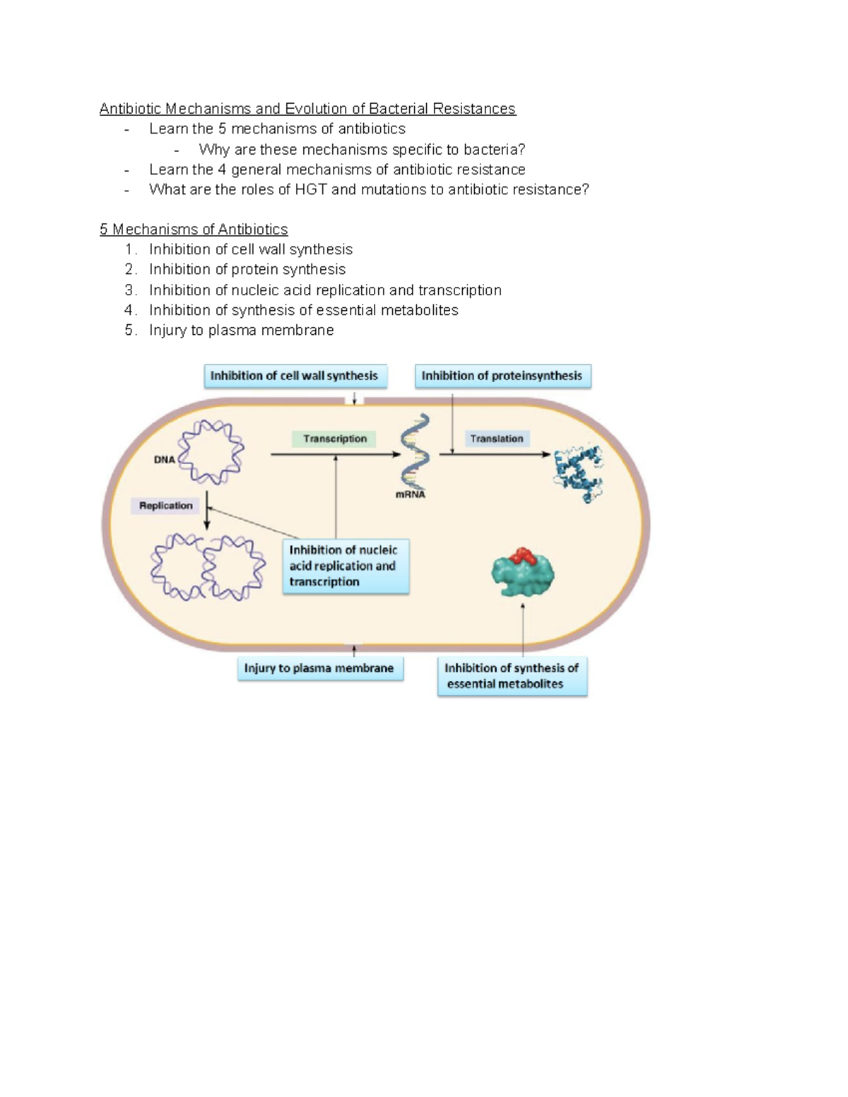 Mechanisms of Antibiotic Resistance - Antibiotic Mechanisms and ...