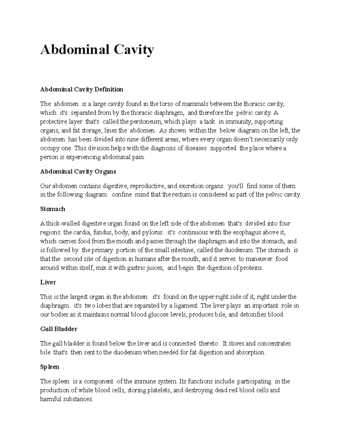 Abdominal Cavity - Important Topics_ Biology - Abdominal Cavity ...