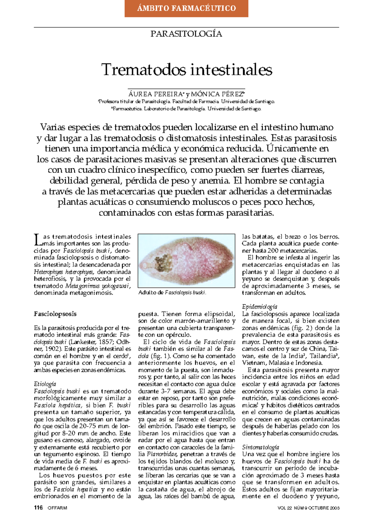 Trematodos Intestinales Uax Studocu