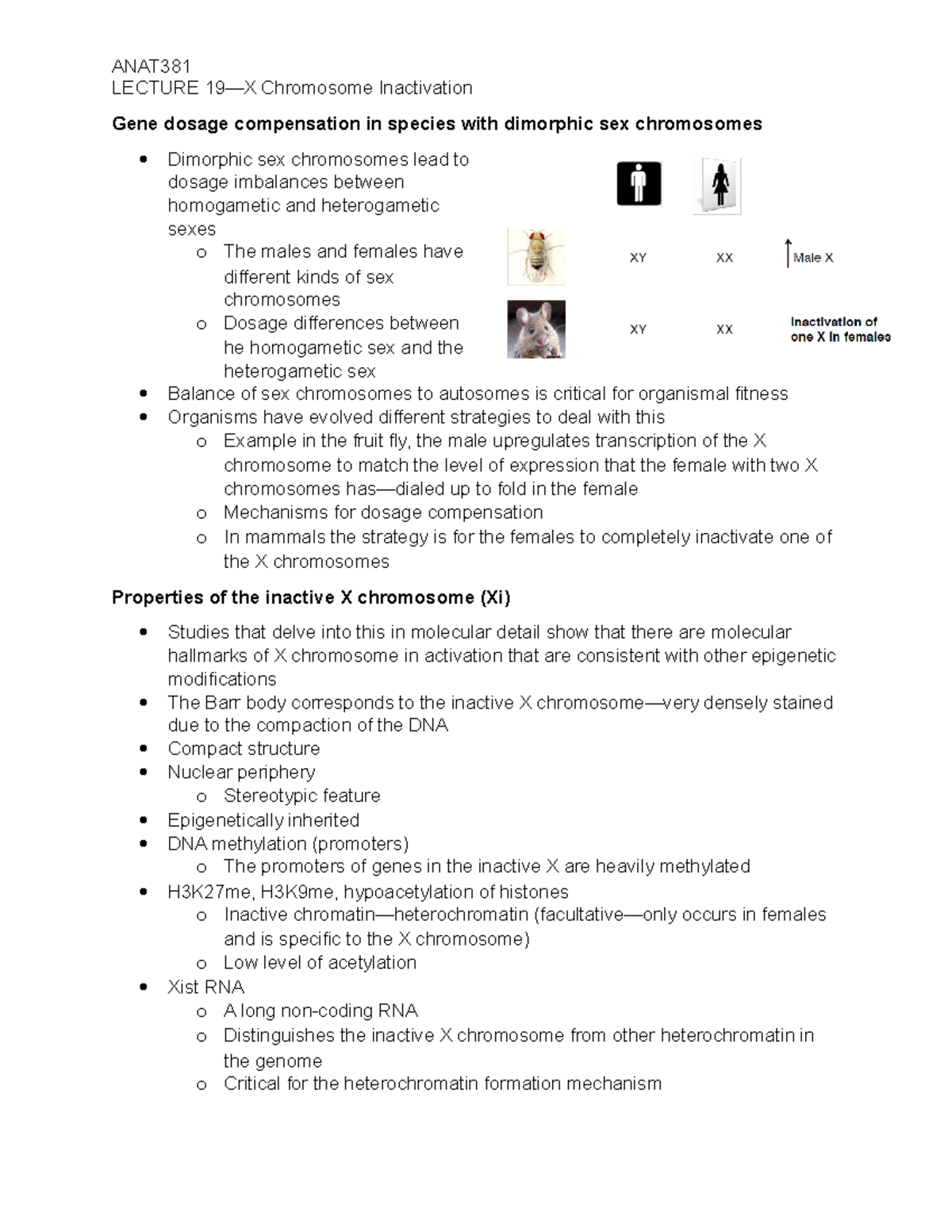 19x inactivation Lecture notes 19 LECTURE 19—X Chromosome